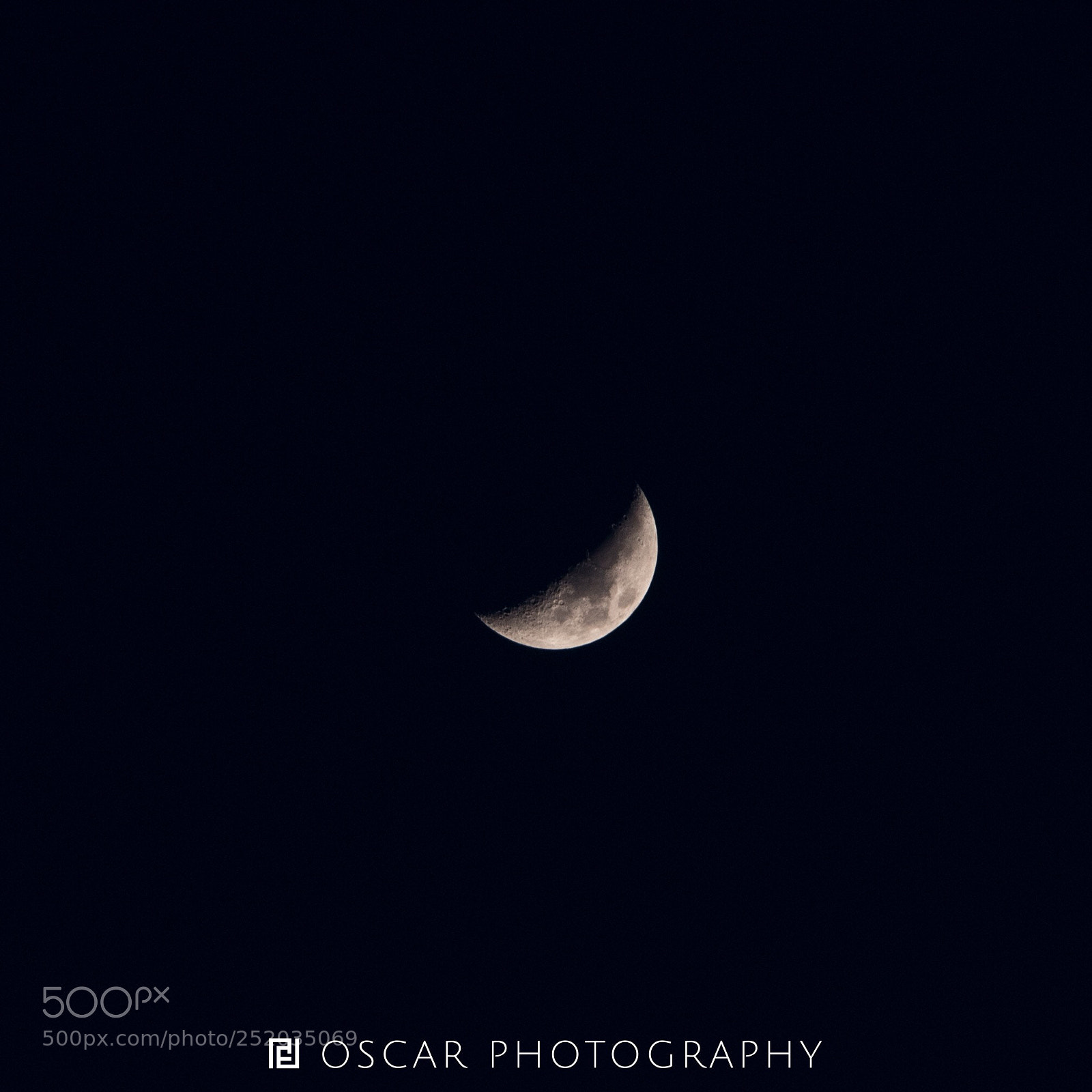Nikon D810 sample photo. Untitled photography