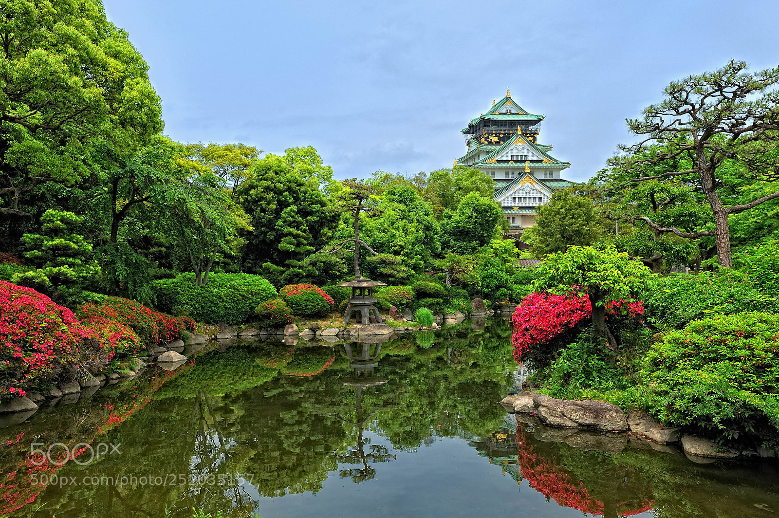 Nikon D700 sample photo. 오사카성의 봄 photography