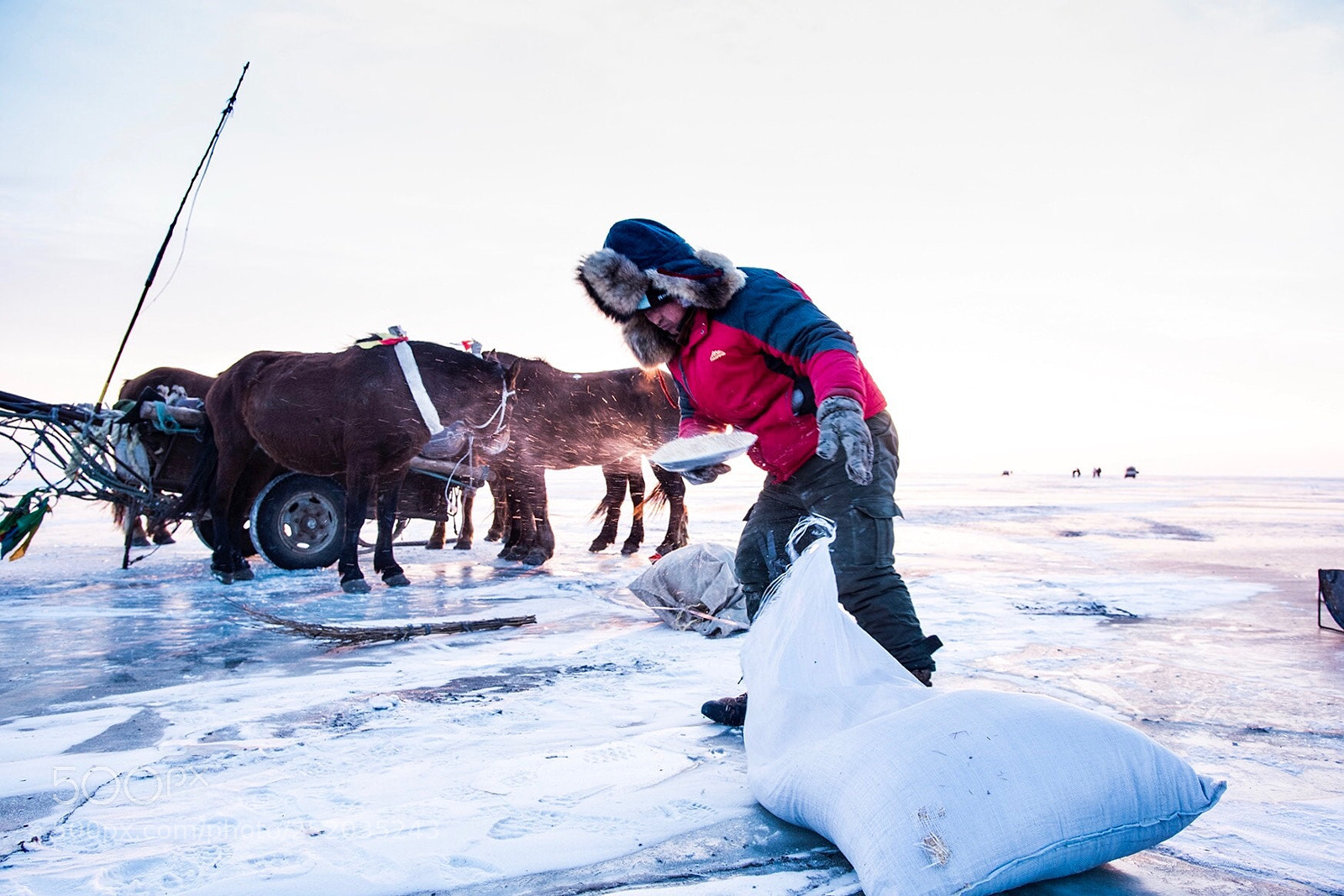 Nikon D810 sample photo. Travel in the winter. photography
