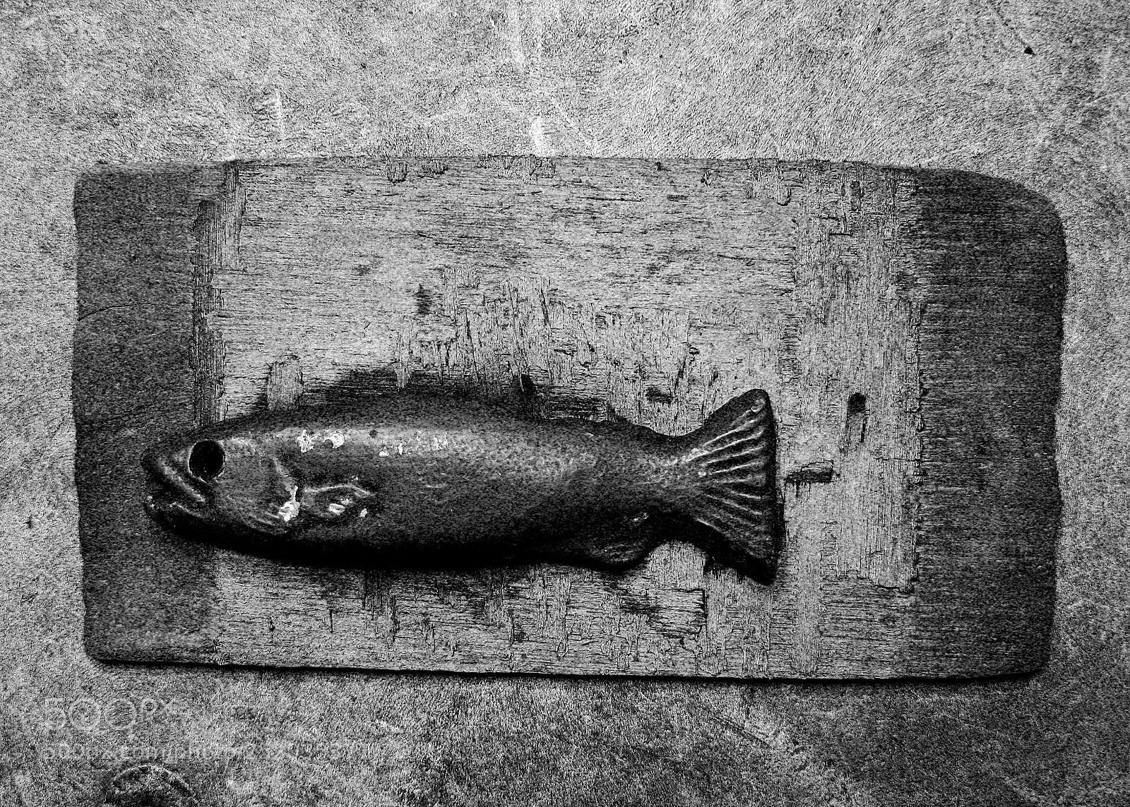 Canon POWERSHOT G9 sample photo. Fish photography