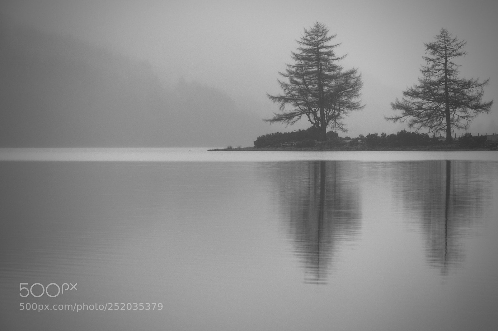 Fujifilm X-T2 sample photo. Trees in mist, loch photography