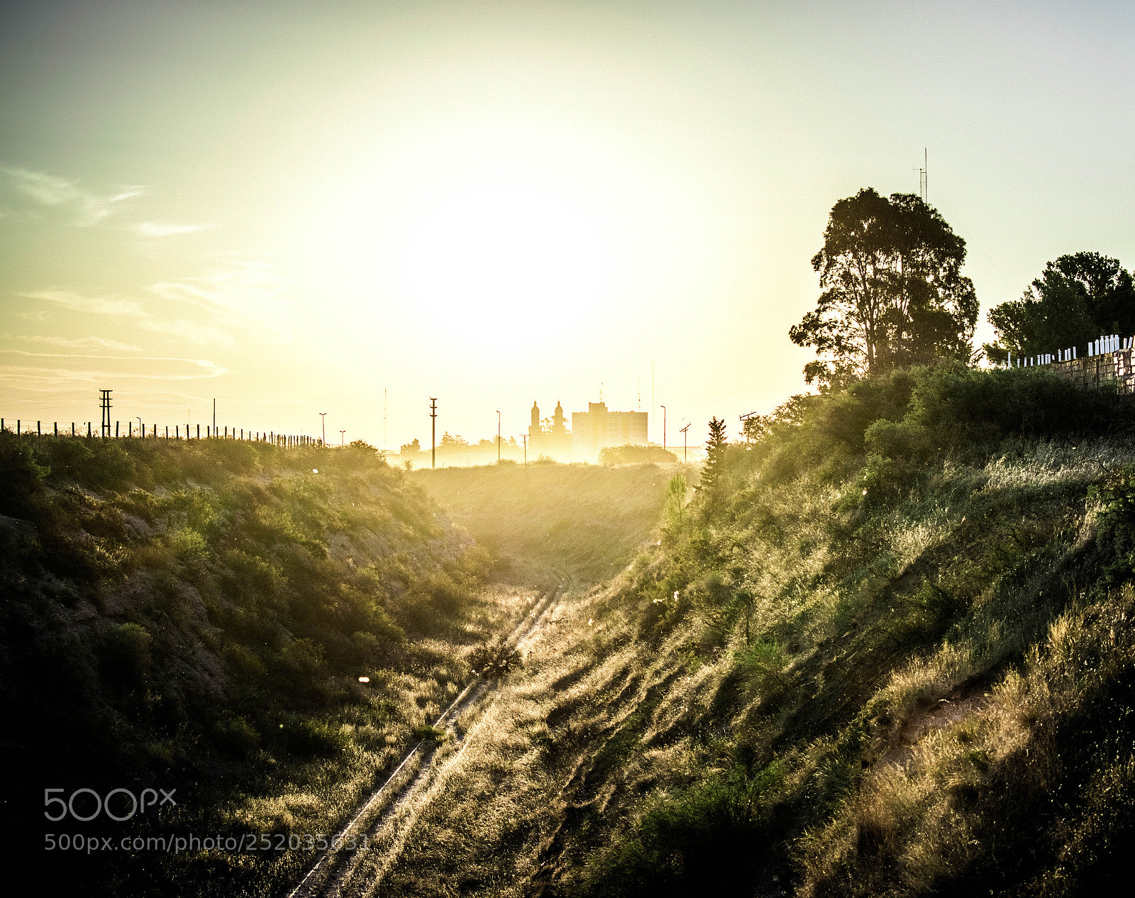 Nikon D5300 sample photo. Road to the city photography