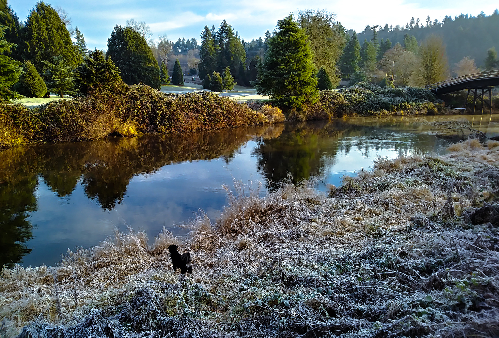 LG K8 sample photo. Cold day at the park photography