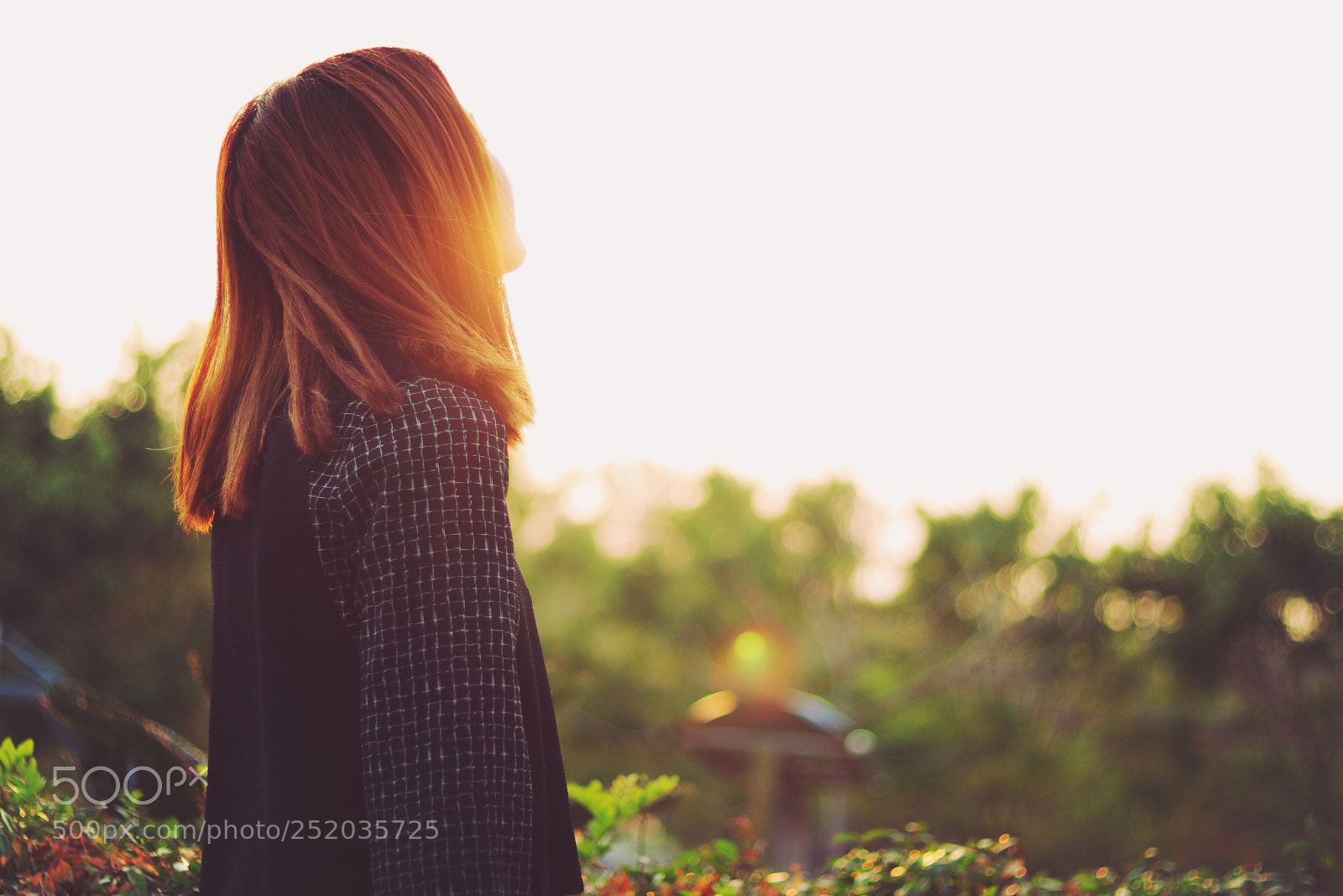 Canon EOS 80D sample photo. Untitled photography