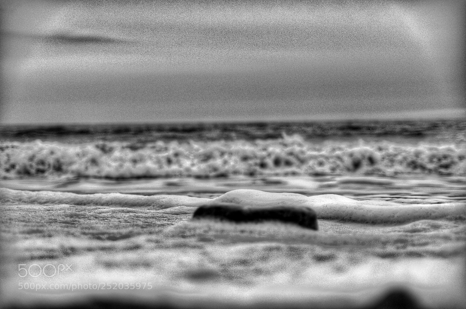 Pentax K-50 sample photo. Untitled photography