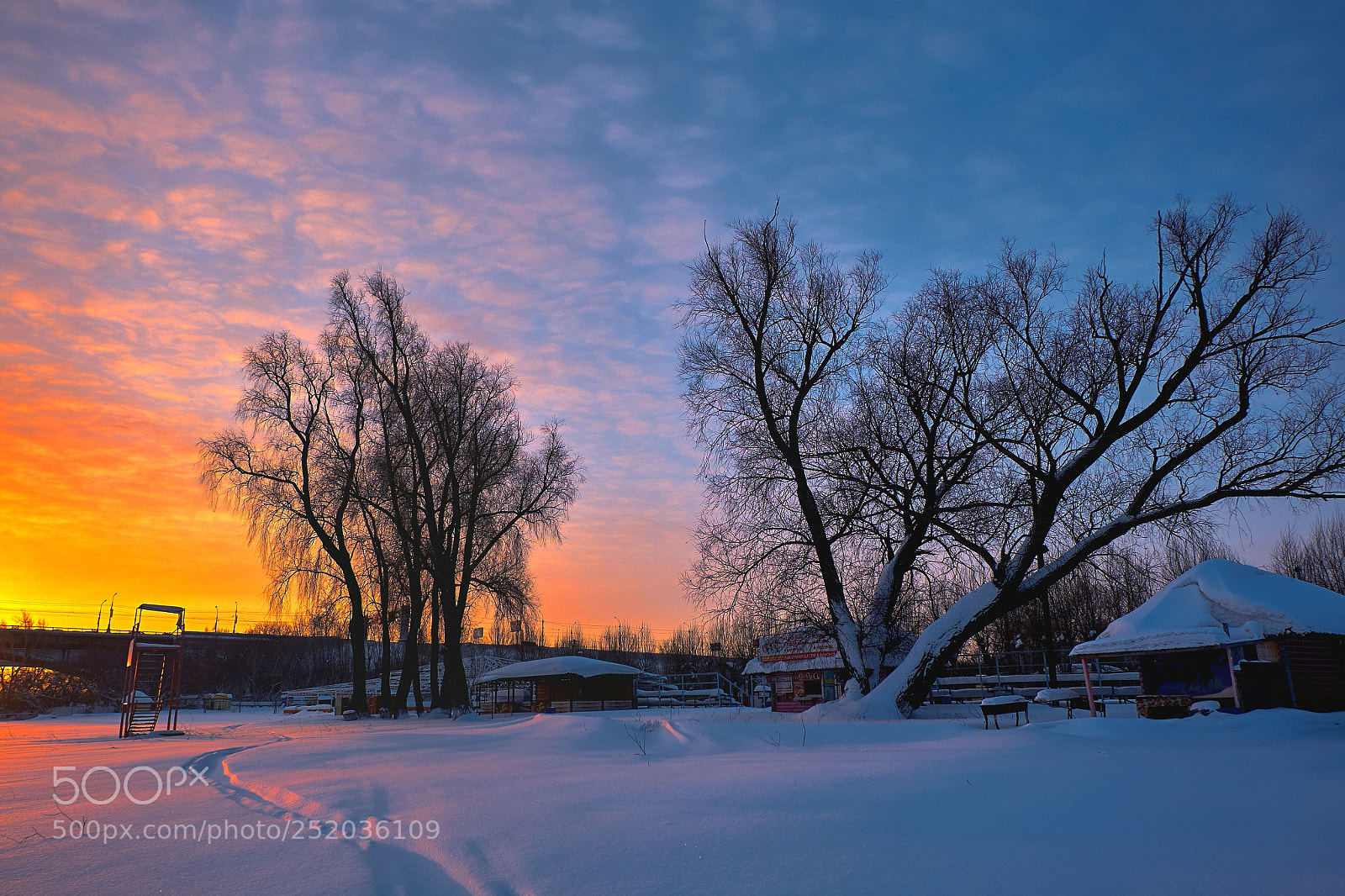 Fujifilm X-M1 sample photo. Beautiful winter dawn photography