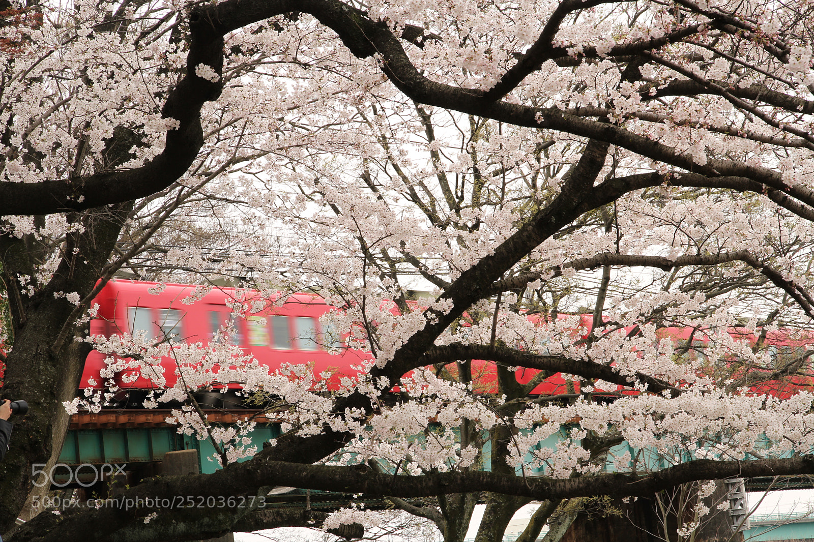 Canon EOS 7D sample photo. The spring express photography