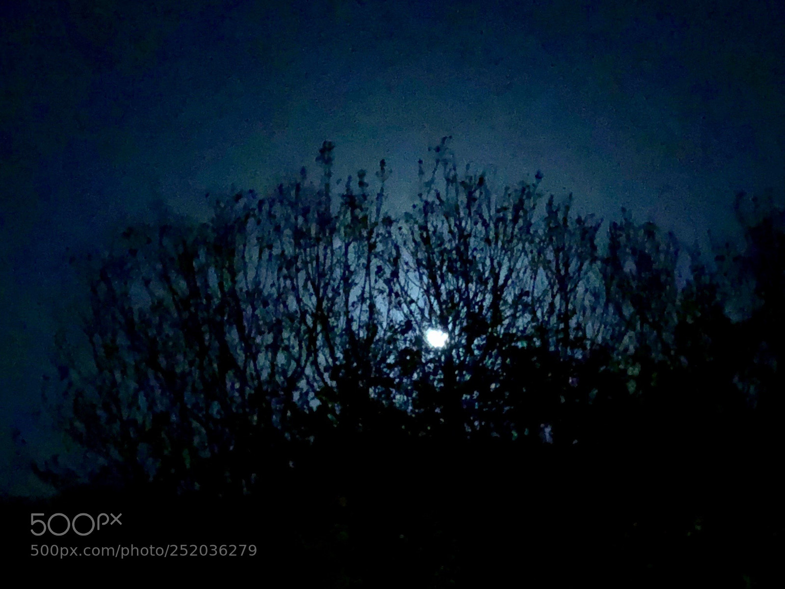 Apple iPhone 8 Plus sample photo. Night photography