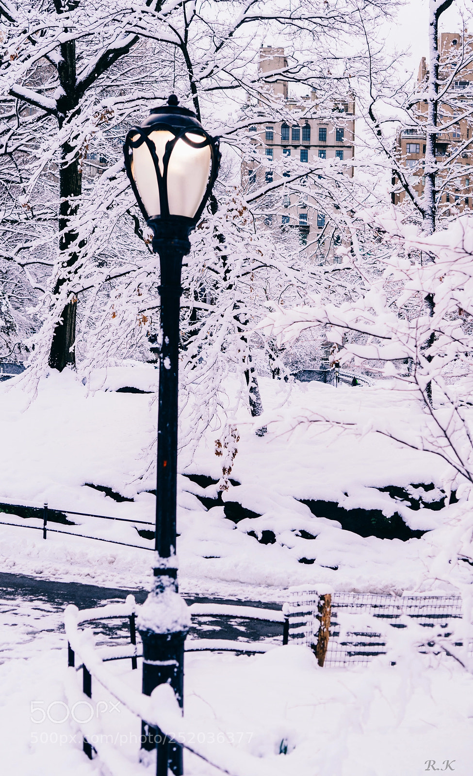 Sony a7R sample photo. Let the light always photography