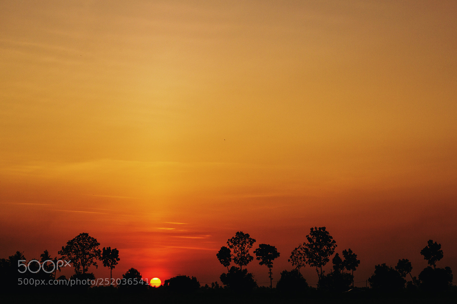 Canon EOS 60D sample photo. Last light photography