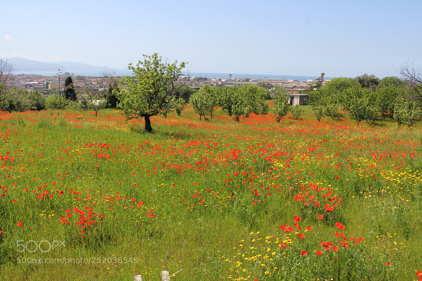 Canon EF-S 18-200mm F3.5-5.6 IS sample photo. Img photography
