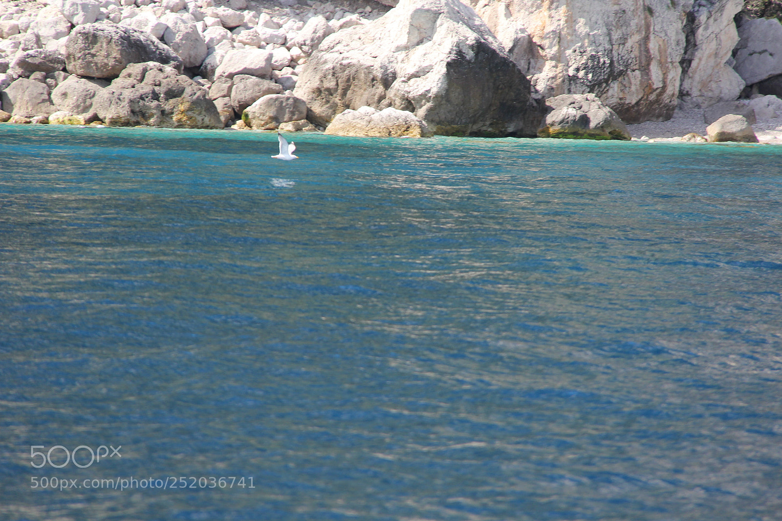 Canon EF-S 18-200mm F3.5-5.6 IS sample photo. Img photography