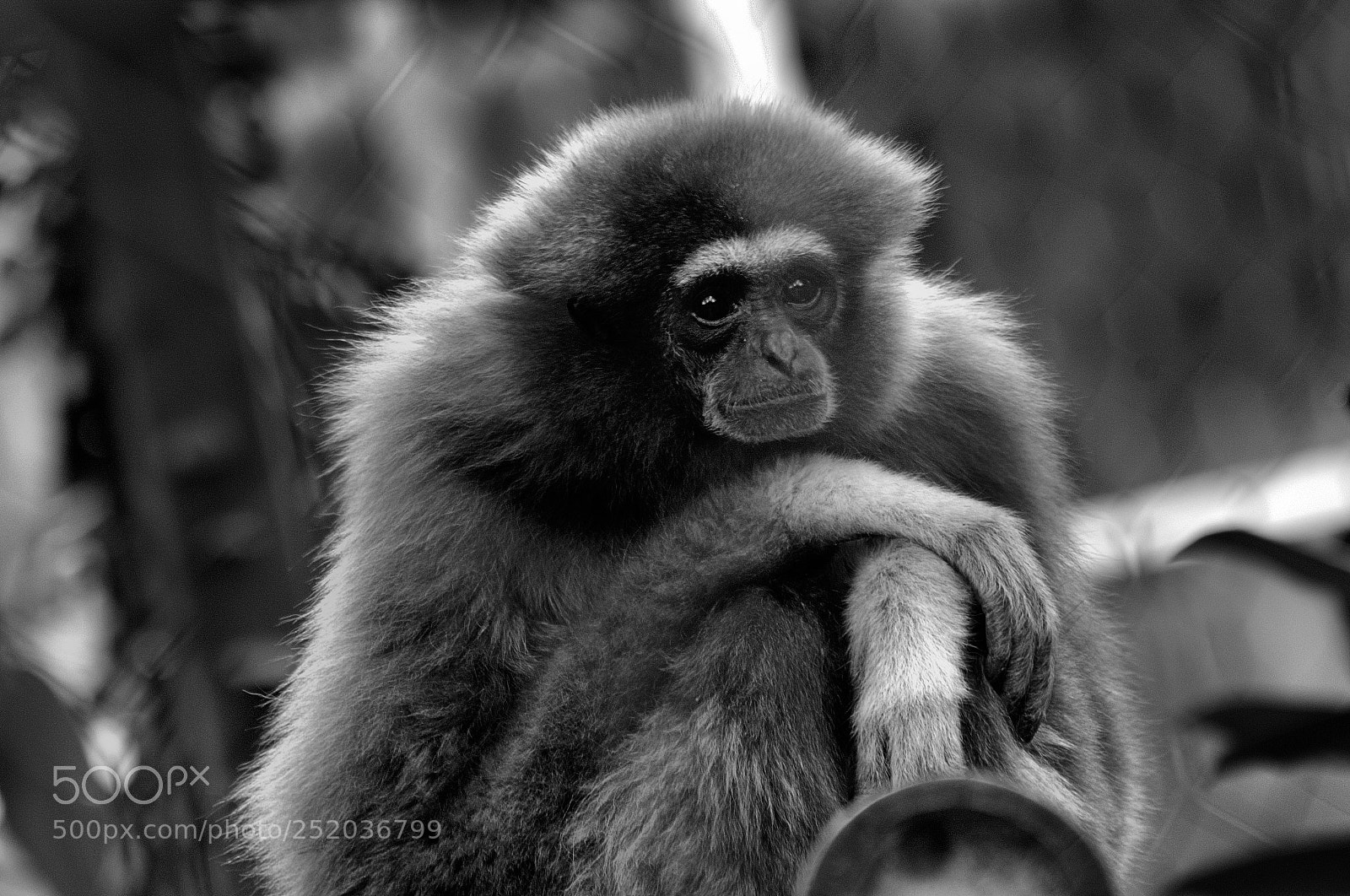 Pentax K-5 sample photo. Untitled photography