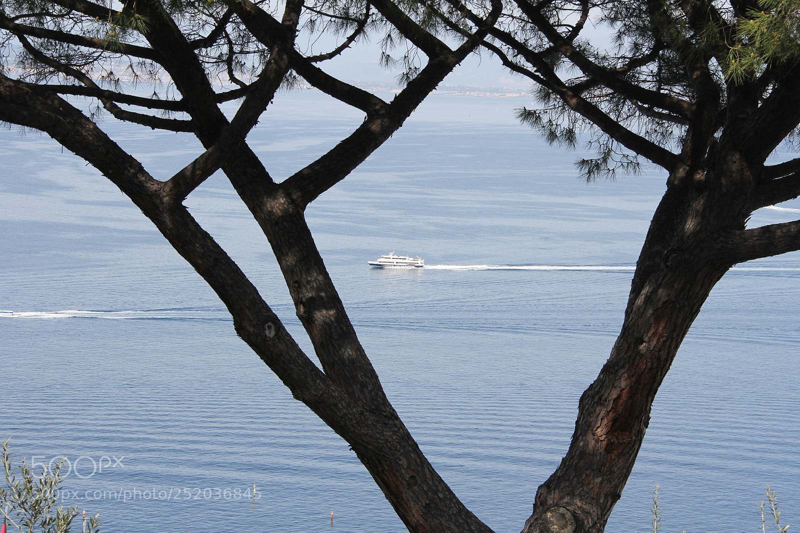 Canon EF-S 18-200mm F3.5-5.6 IS sample photo. Img photography