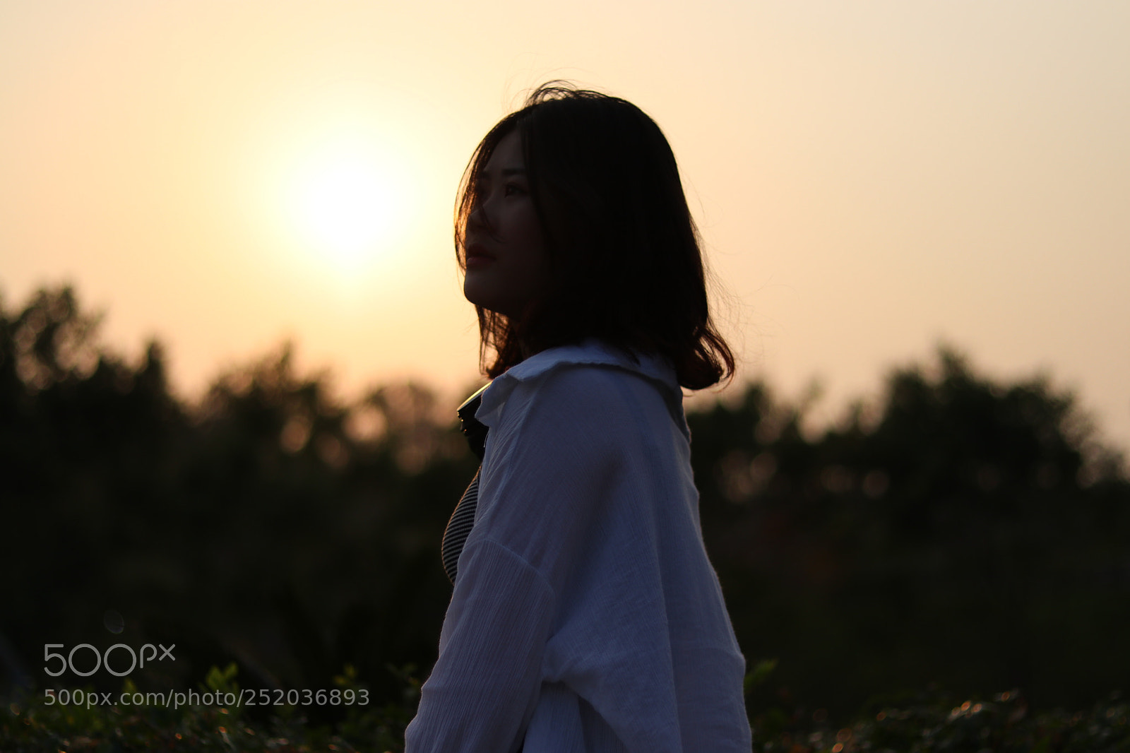 Canon EOS 80D + Canon EF 50mm F1.8 STM sample photo. Untitled photography