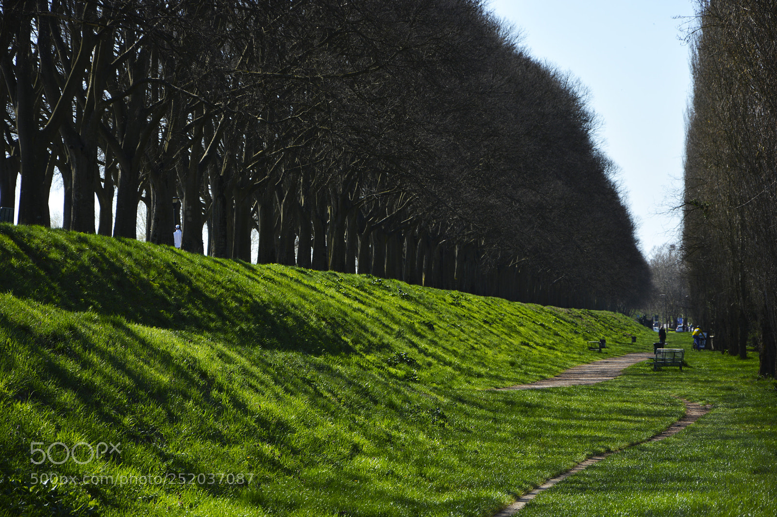 Nikon D5200 sample photo. Ferrara walls photography