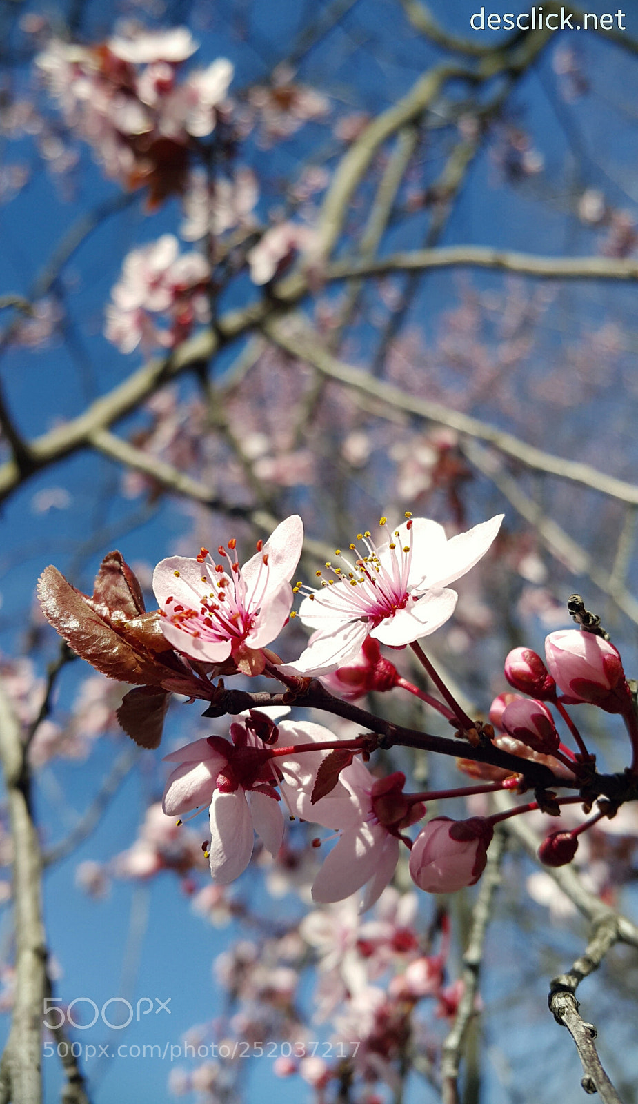 Samsung Galaxy Note4 sample photo. Revival photography
