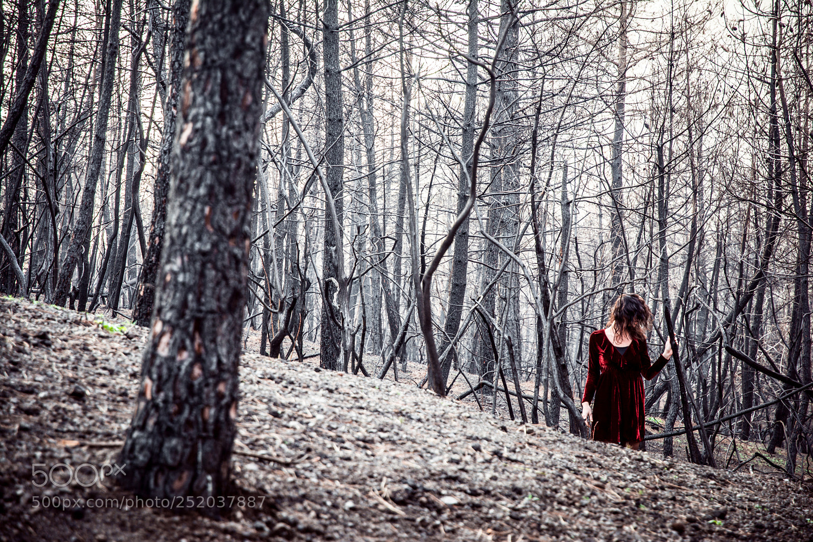 Nikon D5200 sample photo. "gothic" photography