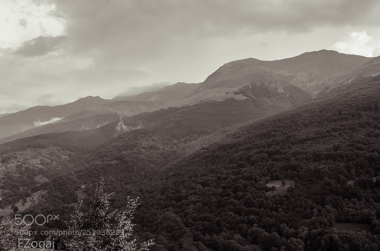 Nikon D5100 sample photo. Untitled photography