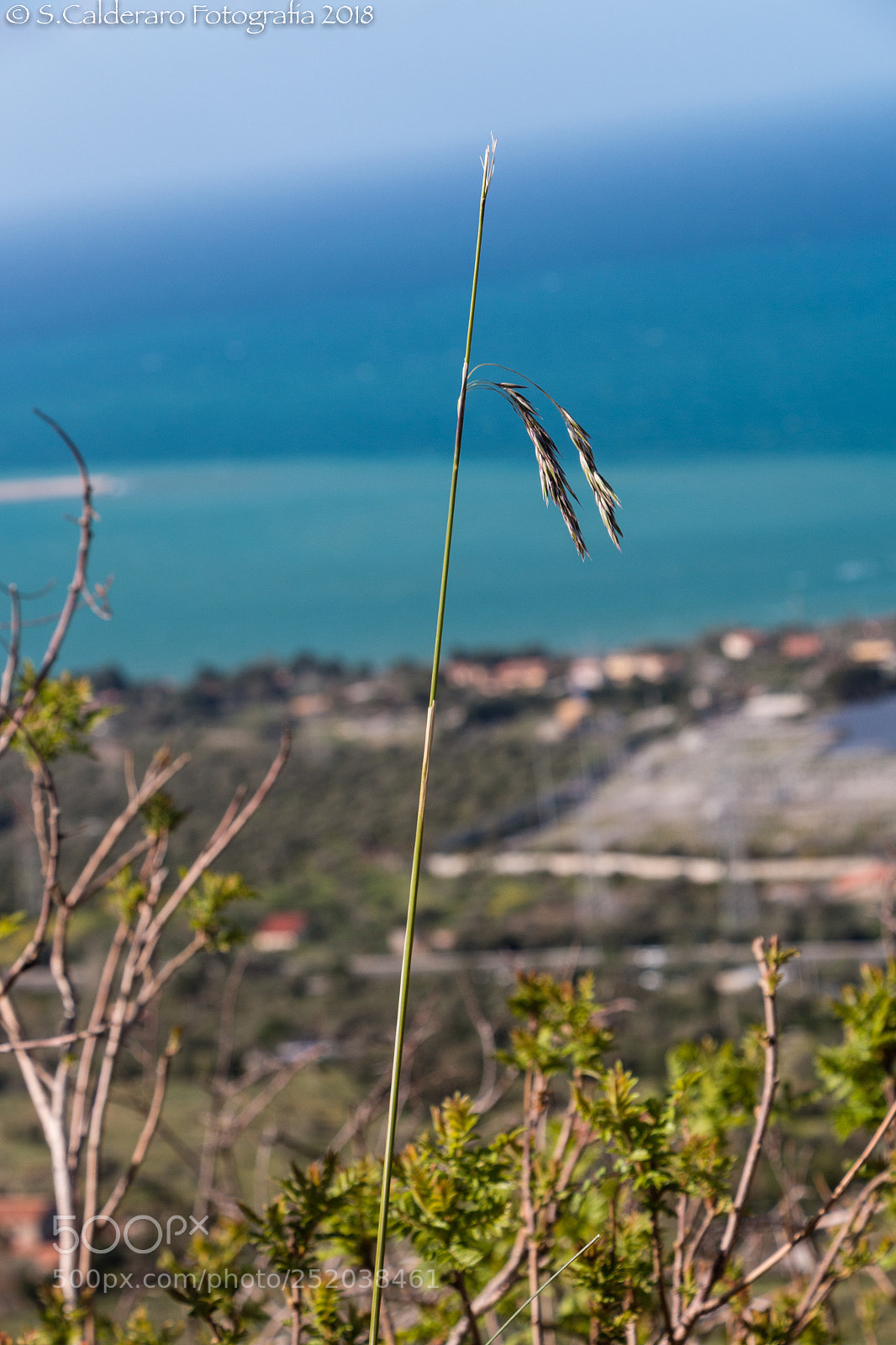Canon EOS 70D sample photo. Nature.. photography