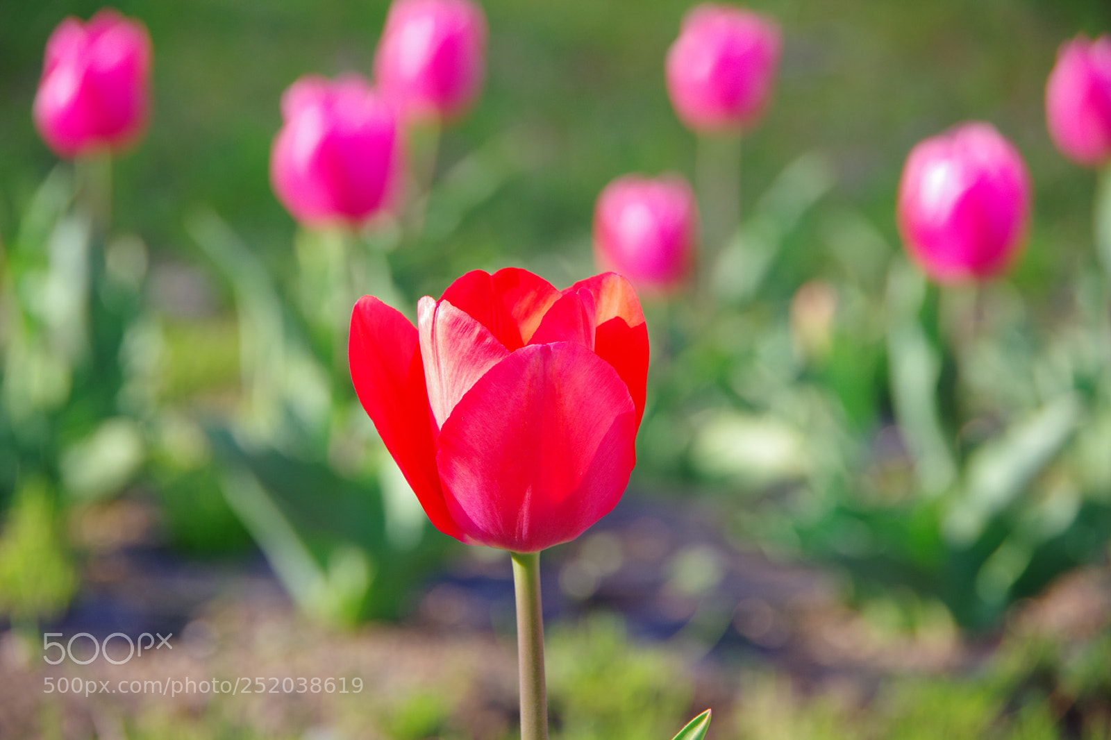 Pentax K-70 sample photo. Untitled photography