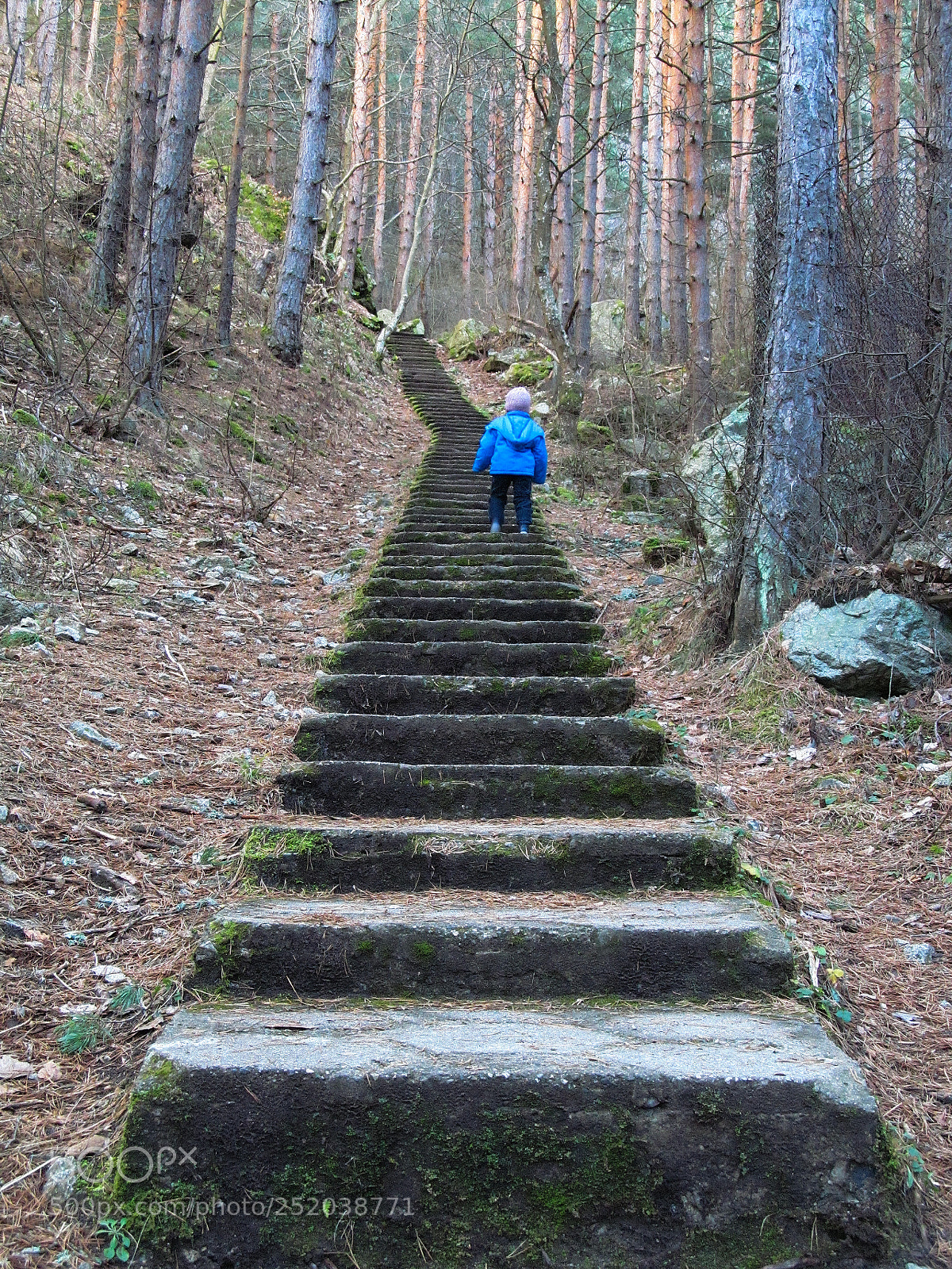 Canon PowerShot SX150 IS sample photo. Stairway to heaven photography