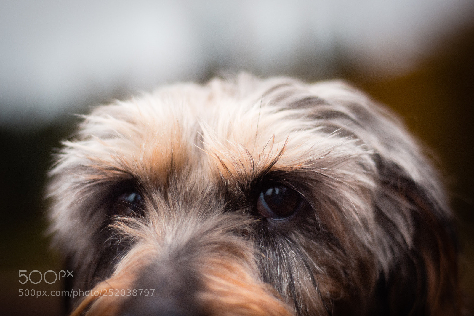Nikon D7100 sample photo. Nblegx pak () photography