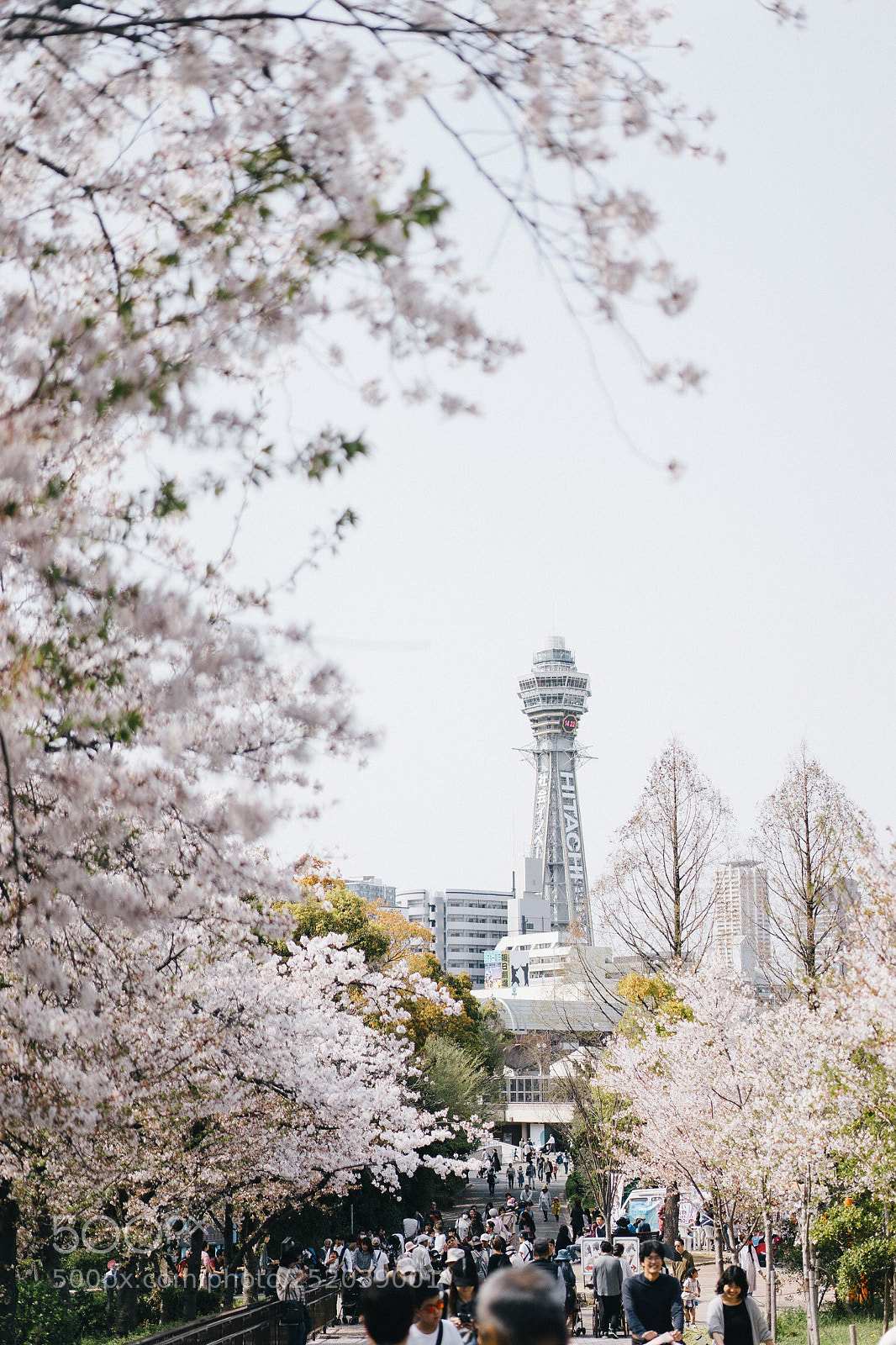 Sony a7 sample photo. Tennouji zoo. photography