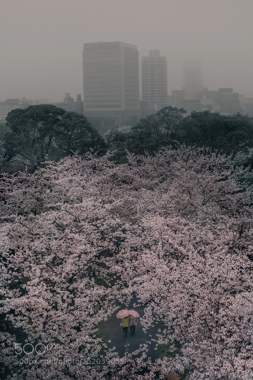 Fujifilm X-T2 sample photo. Fukuoka city photography
