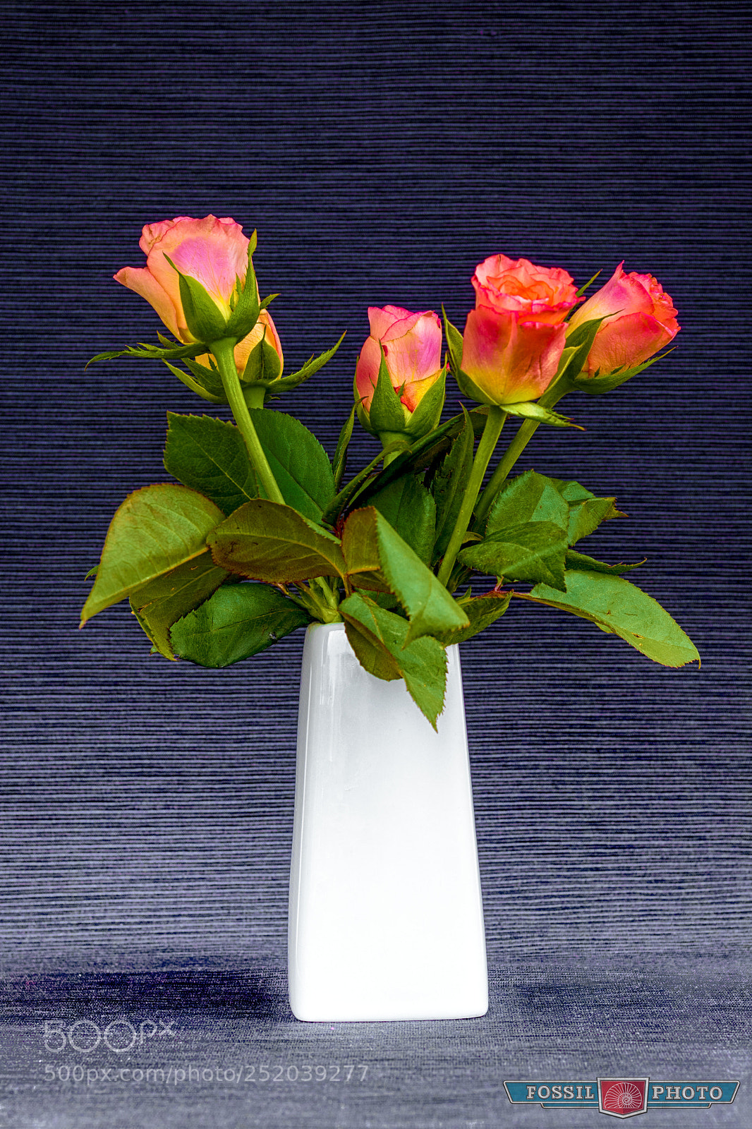 Canon EOS 80D sample photo. Roses photography