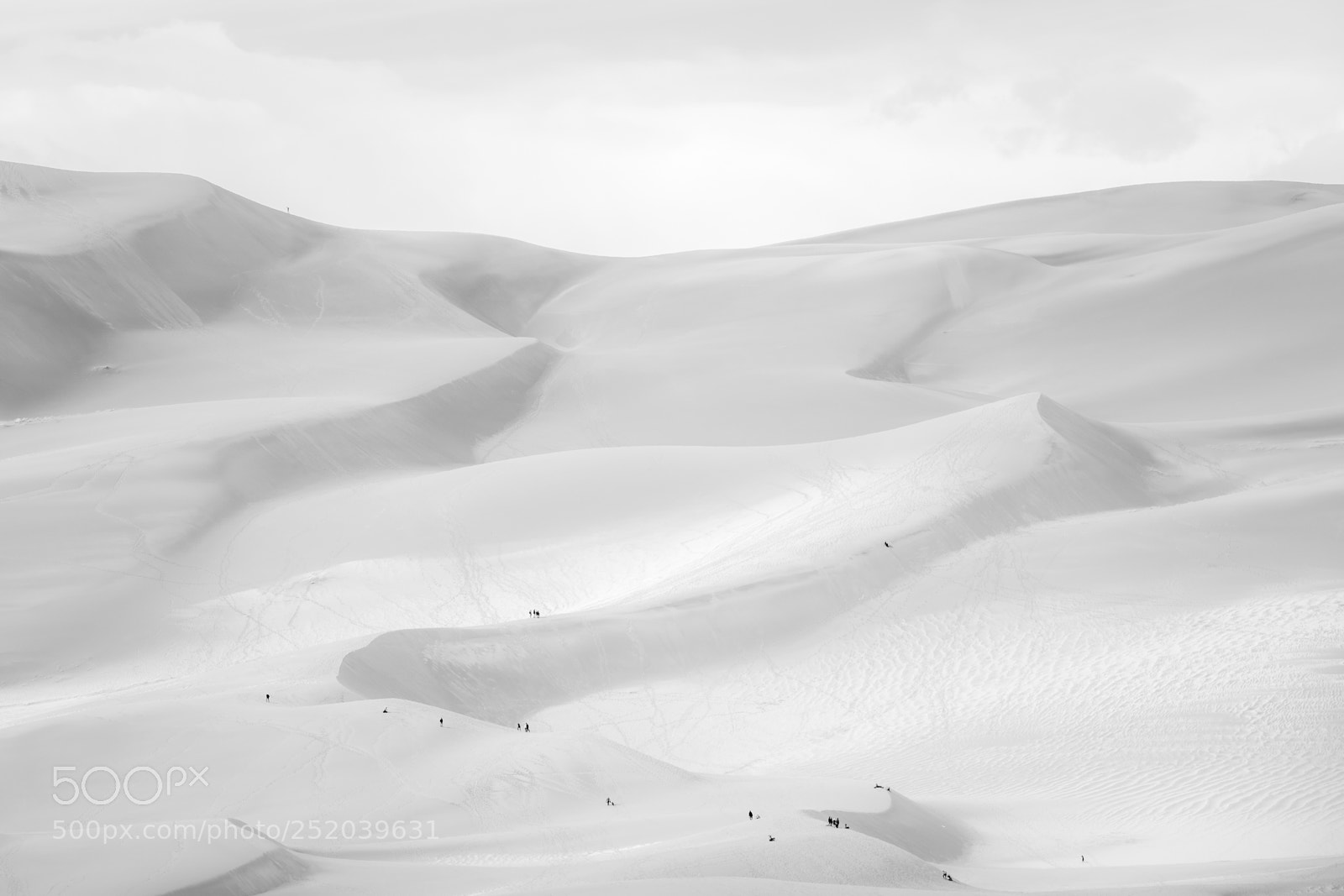 Nikon D850 sample photo. Great sand dunes national photography