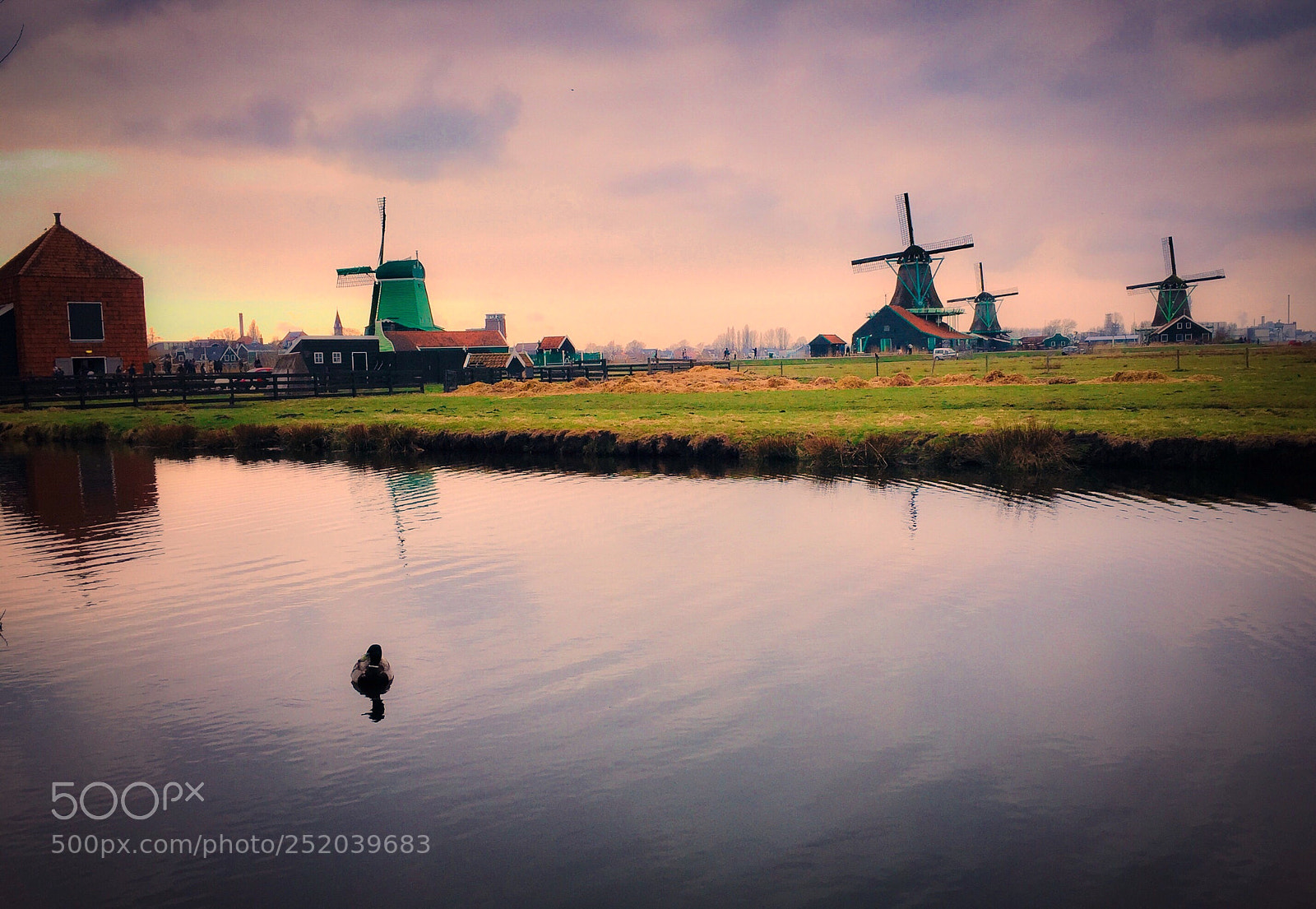 Apple iPhone 6 sample photo. Windmills photography