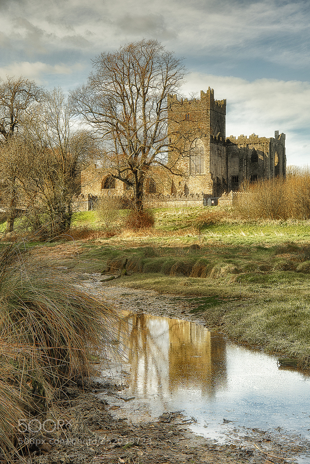 Nikon D700 sample photo. Tintern abbey photography