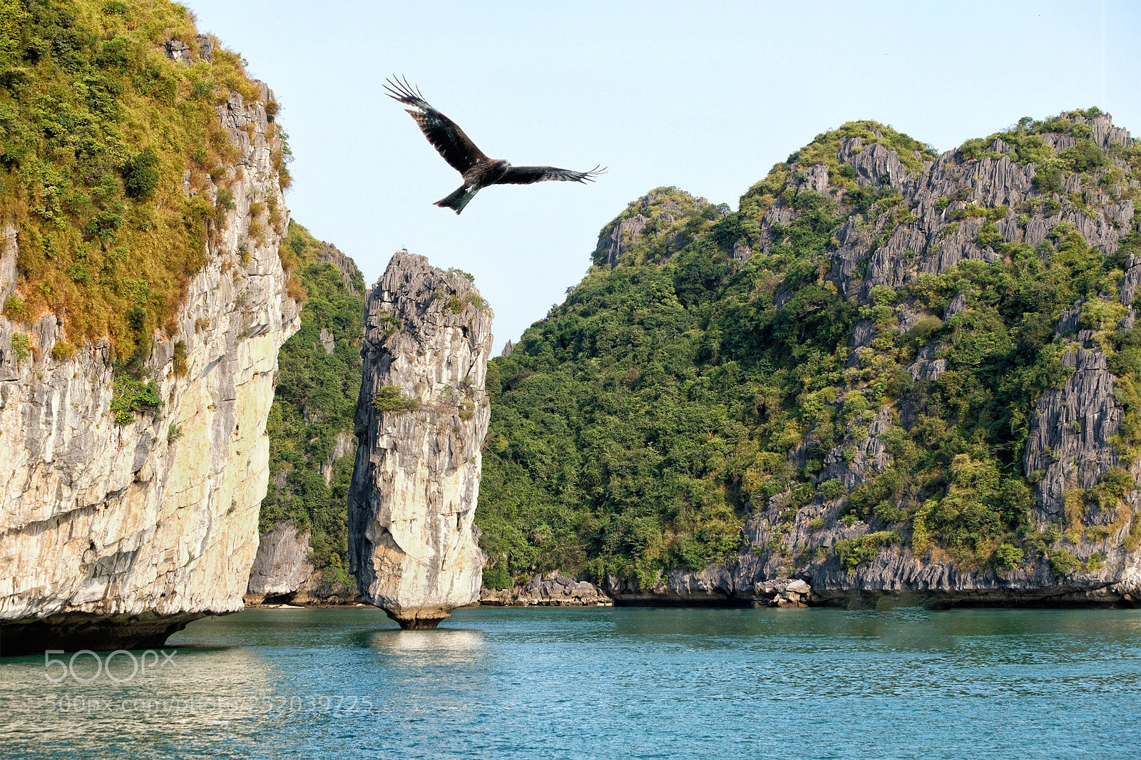 Fujifilm X-T2 sample photo. Sea eagle over halong photography