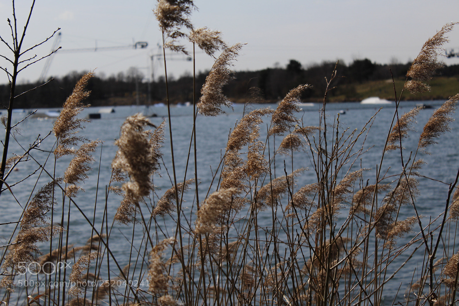 Canon EOS 1300D (EOS Rebel T6 / EOS Kiss X80) sample photo. Untitled photography