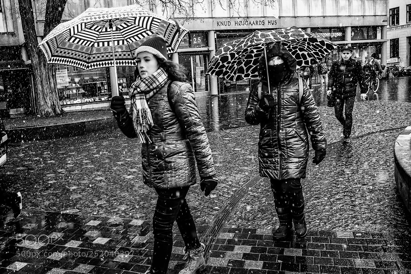 Fujifilm X-Pro2 sample photo. Did anyone said "spring"? photography