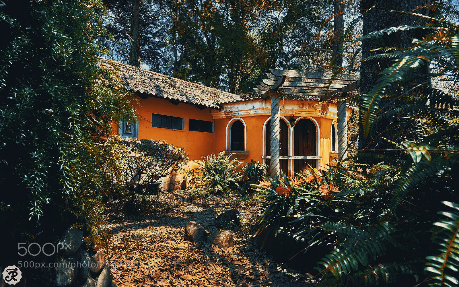 Sony a6000 sample photo. A house in the photography