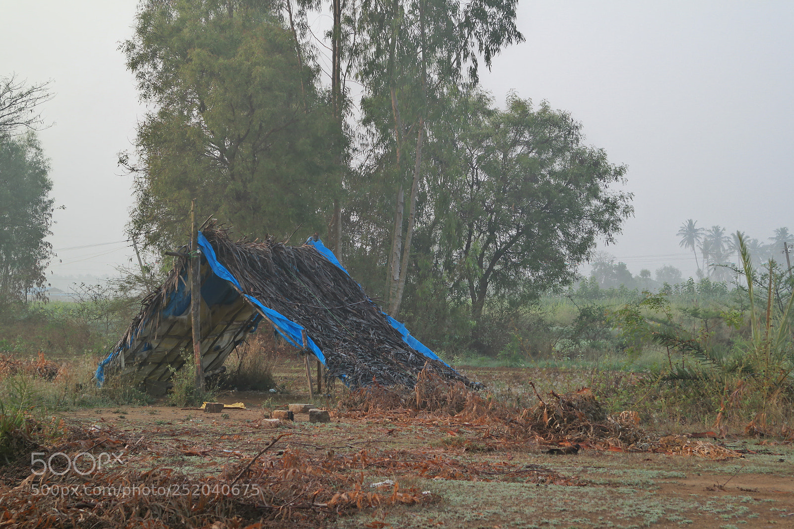 Samsung NX2000 sample photo. Golden sunrise photography