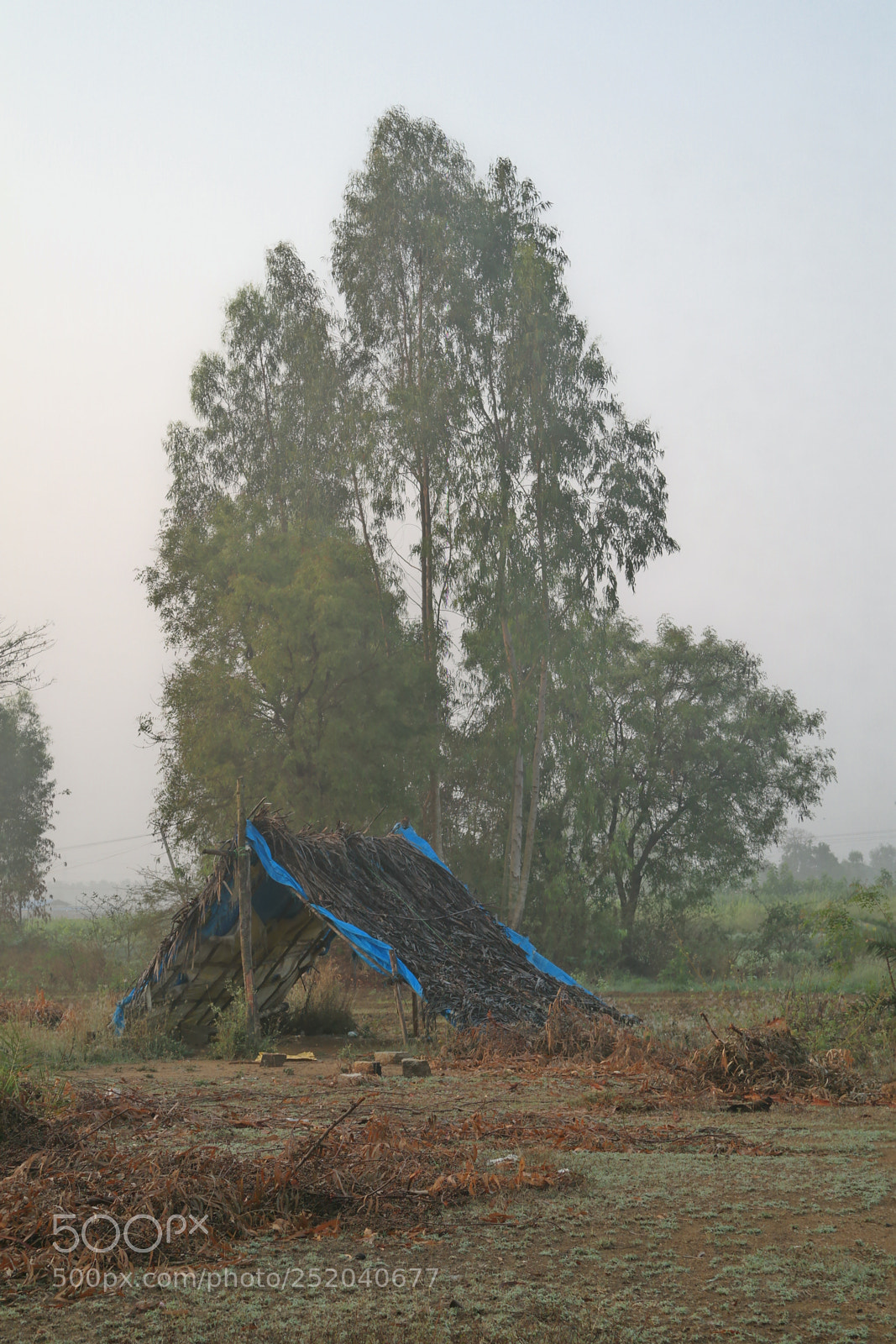 Samsung NX2000 sample photo. Golden sunrise photography