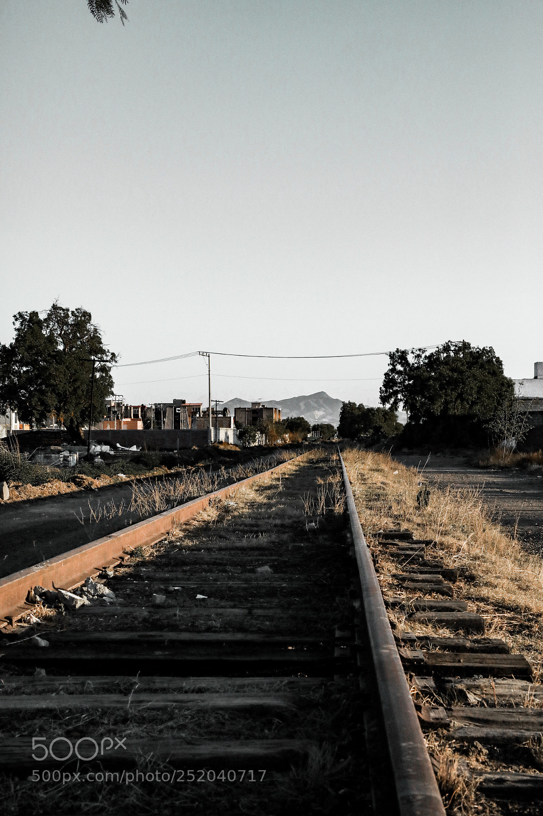 Canon EOS 5D Mark IV sample photo. Untitled photography