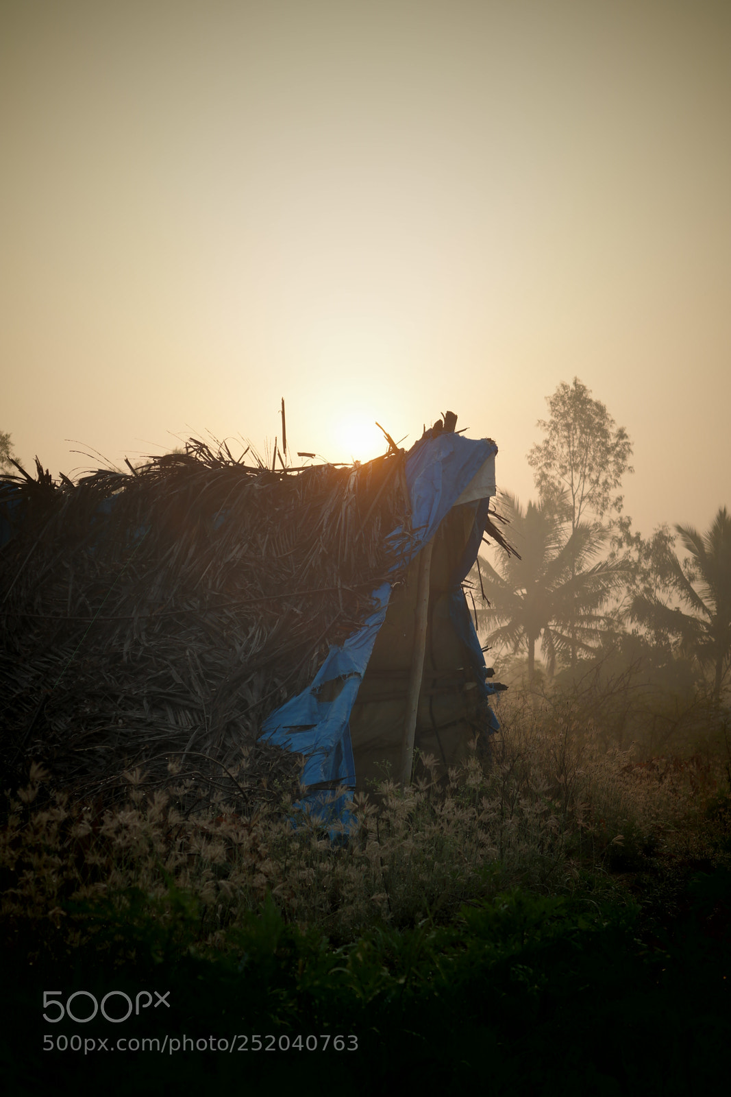 Samsung NX2000 sample photo. Golden sunrise photography