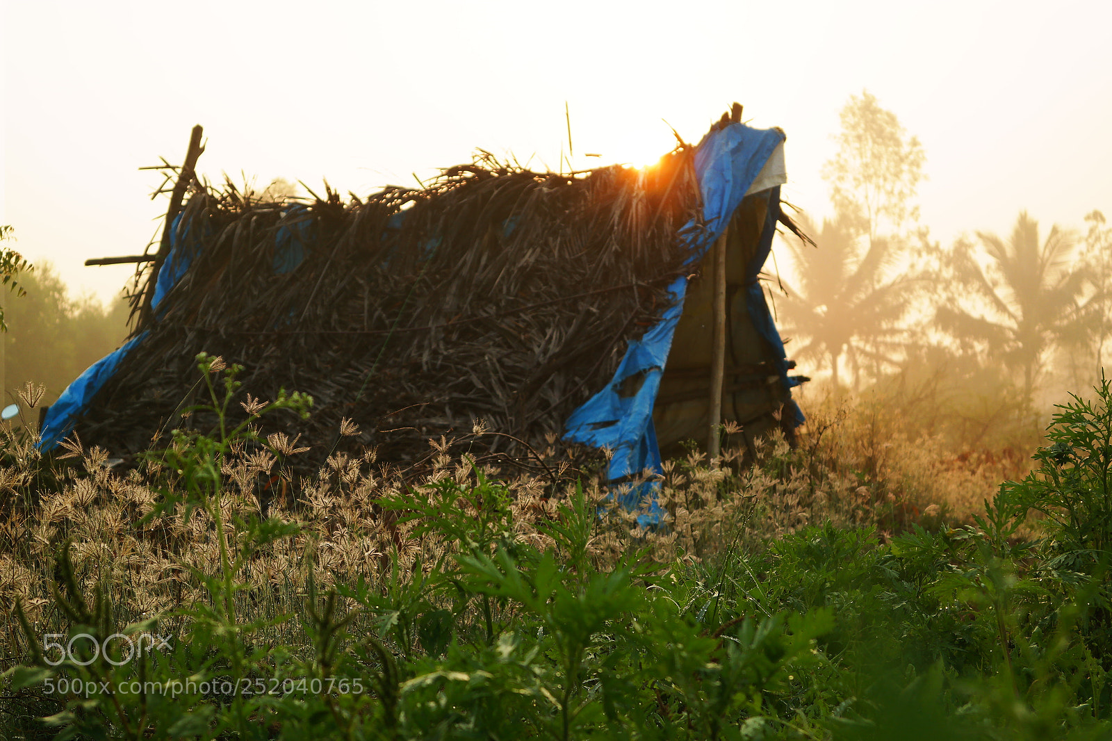 Samsung NX2000 sample photo. Golden sunrise photography