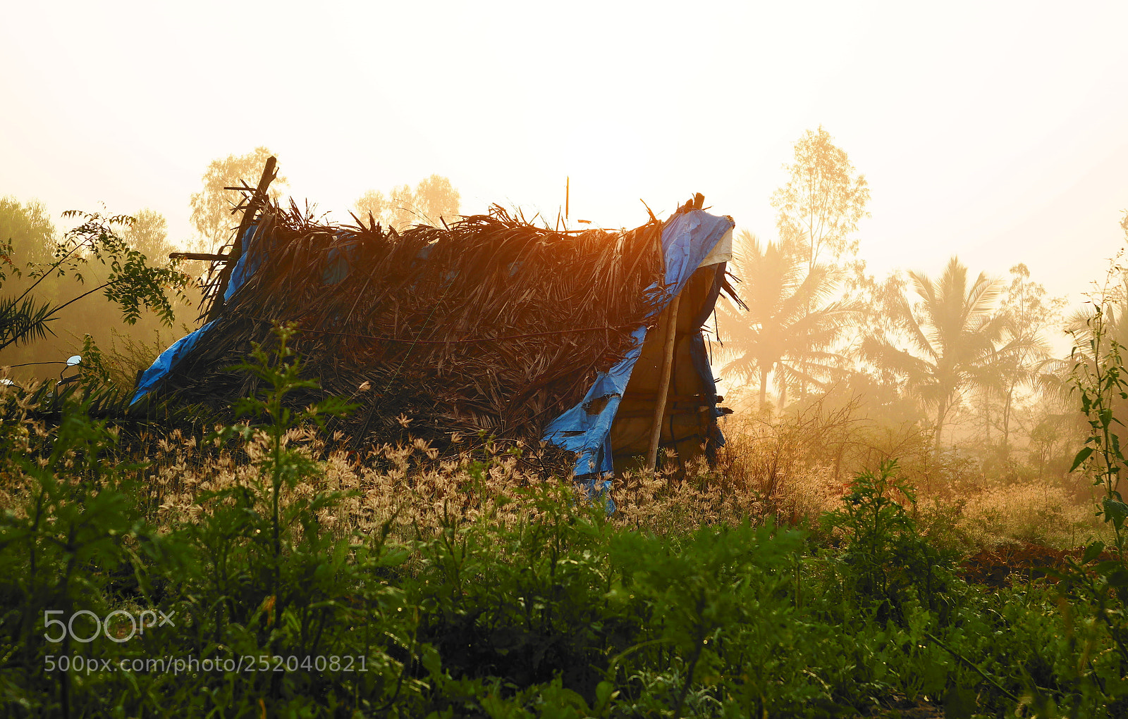 Samsung NX2000 sample photo. Golden sunrise photography