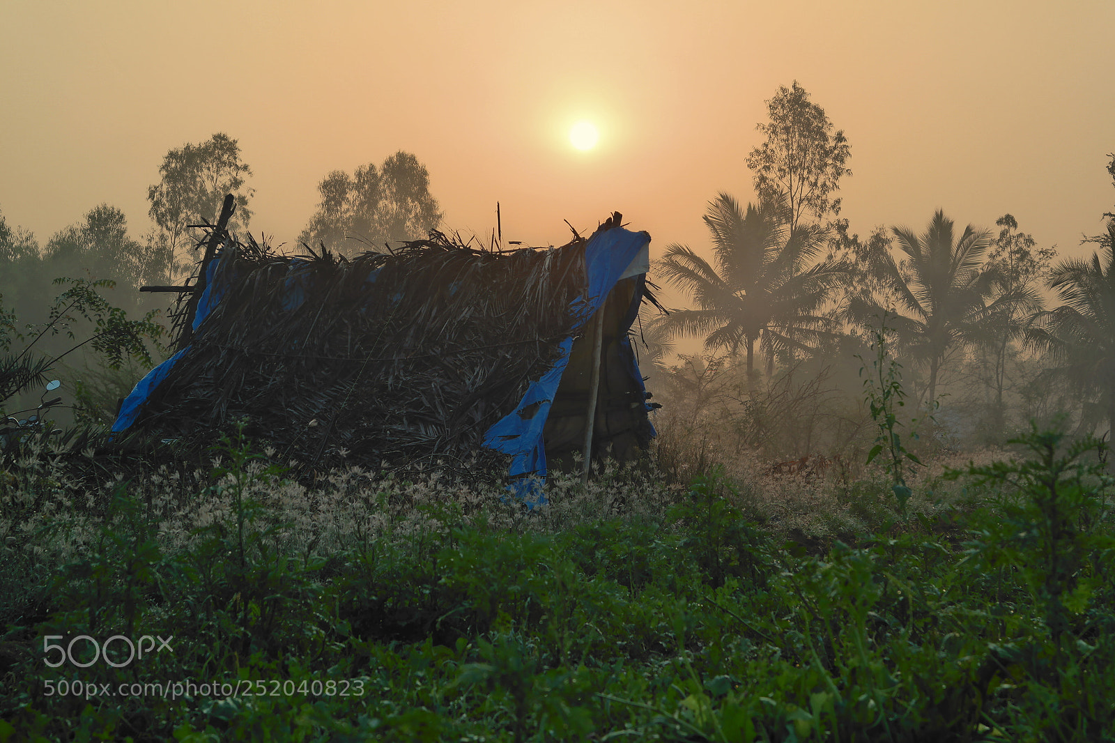 Samsung NX2000 sample photo. Golden sunrise photography