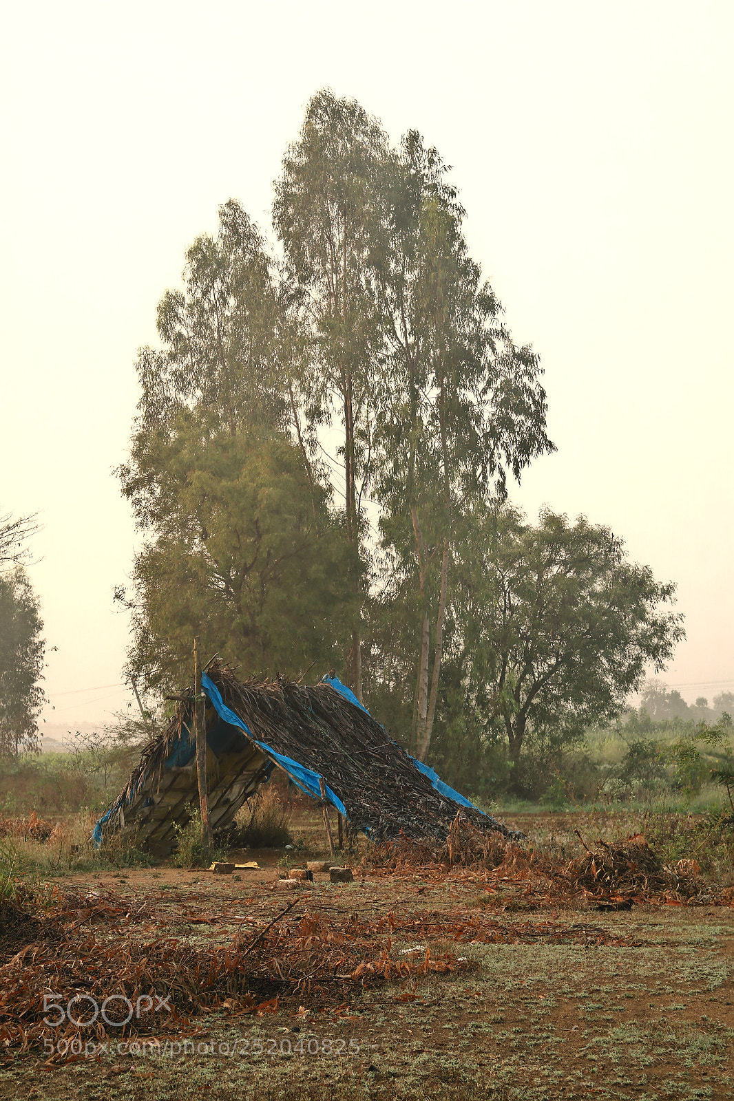 Samsung NX2000 sample photo. Golden sunrise photography