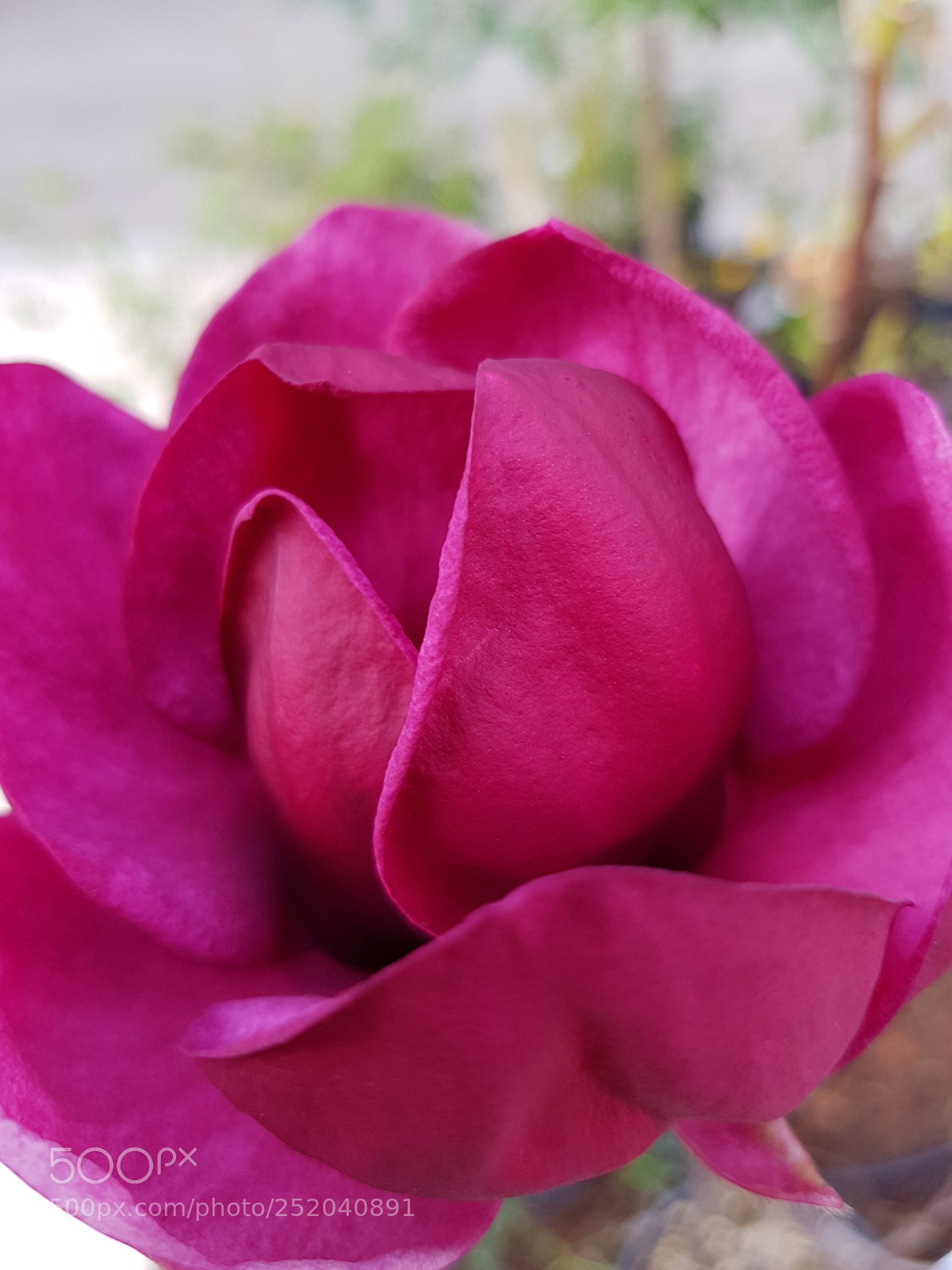 Samsung Galaxy S8 sample photo. Untitled photography