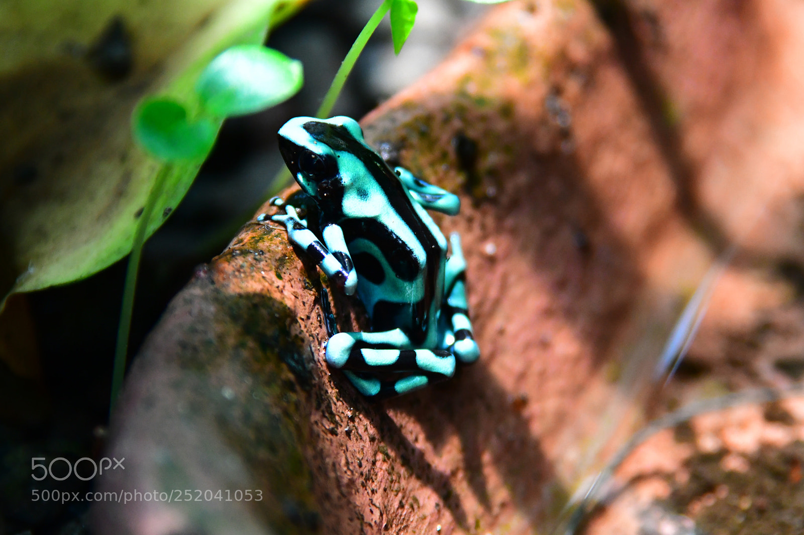 Nikon D7500 sample photo. Untitled photography