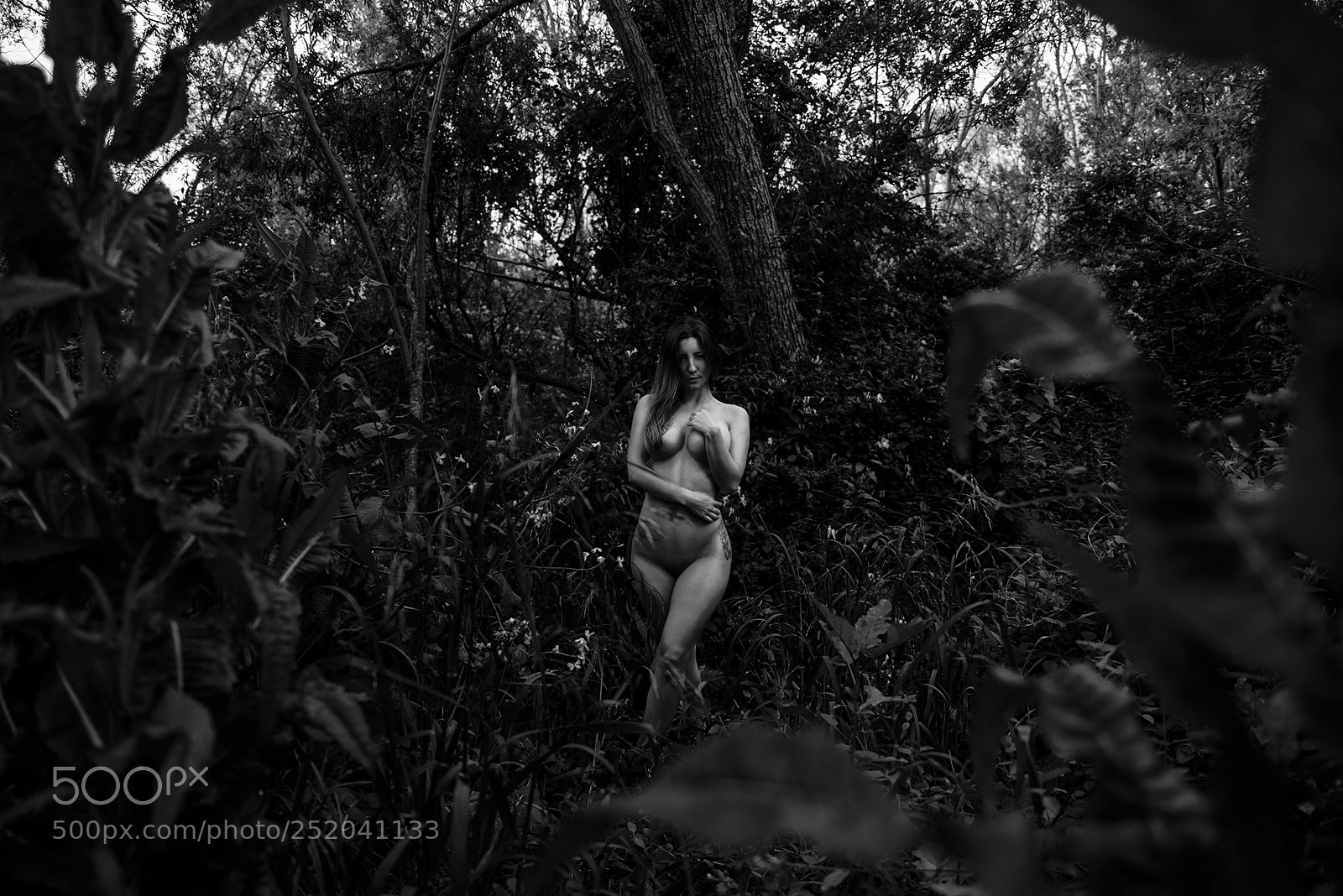 Nikon D610 sample photo. Fiuna photography