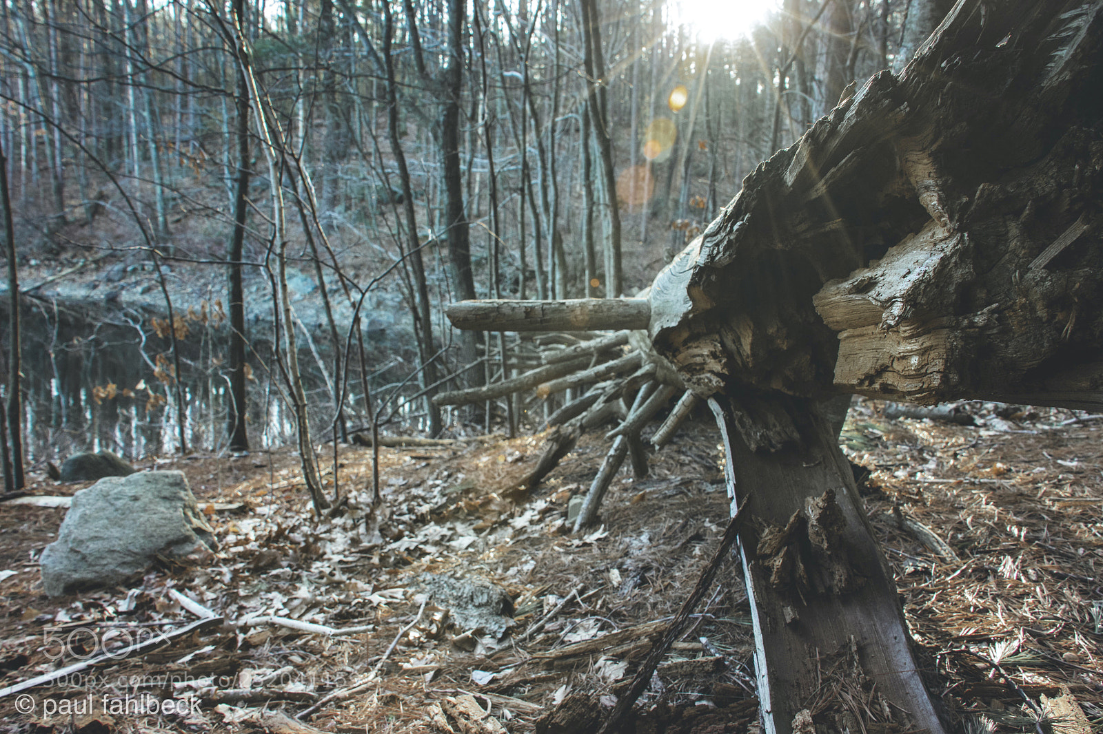 Nikon D7200 sample photo. Just looked different photography