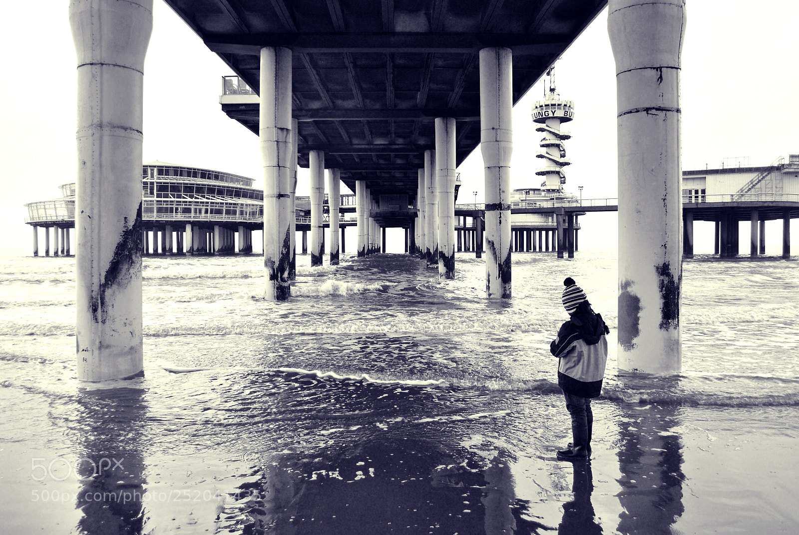 Nikon D3000 sample photo. Untitled photography